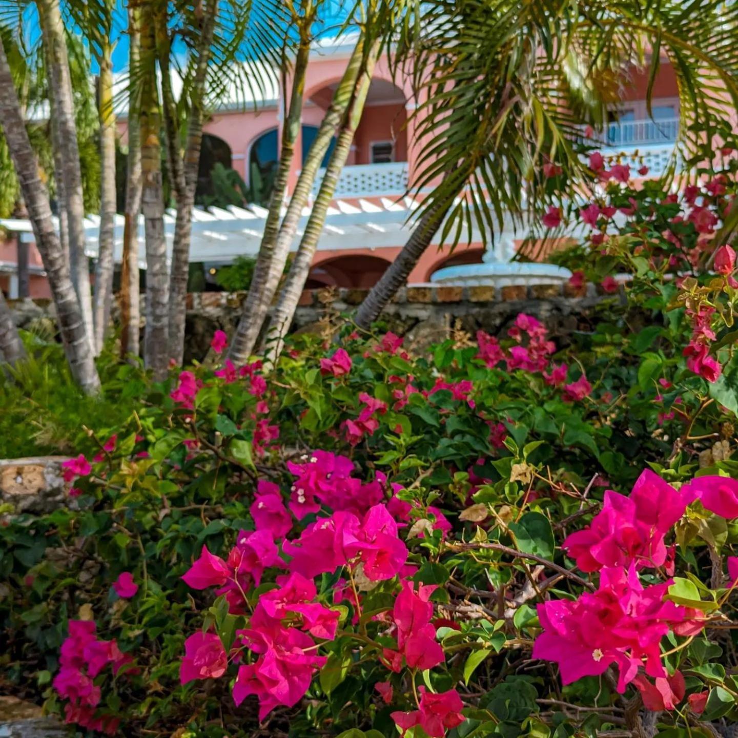 布卡涅尔度假村 Christiansted 客房 照片